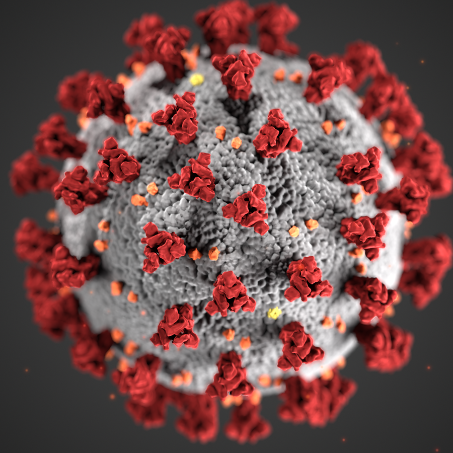 Corona Virus 3D illustration